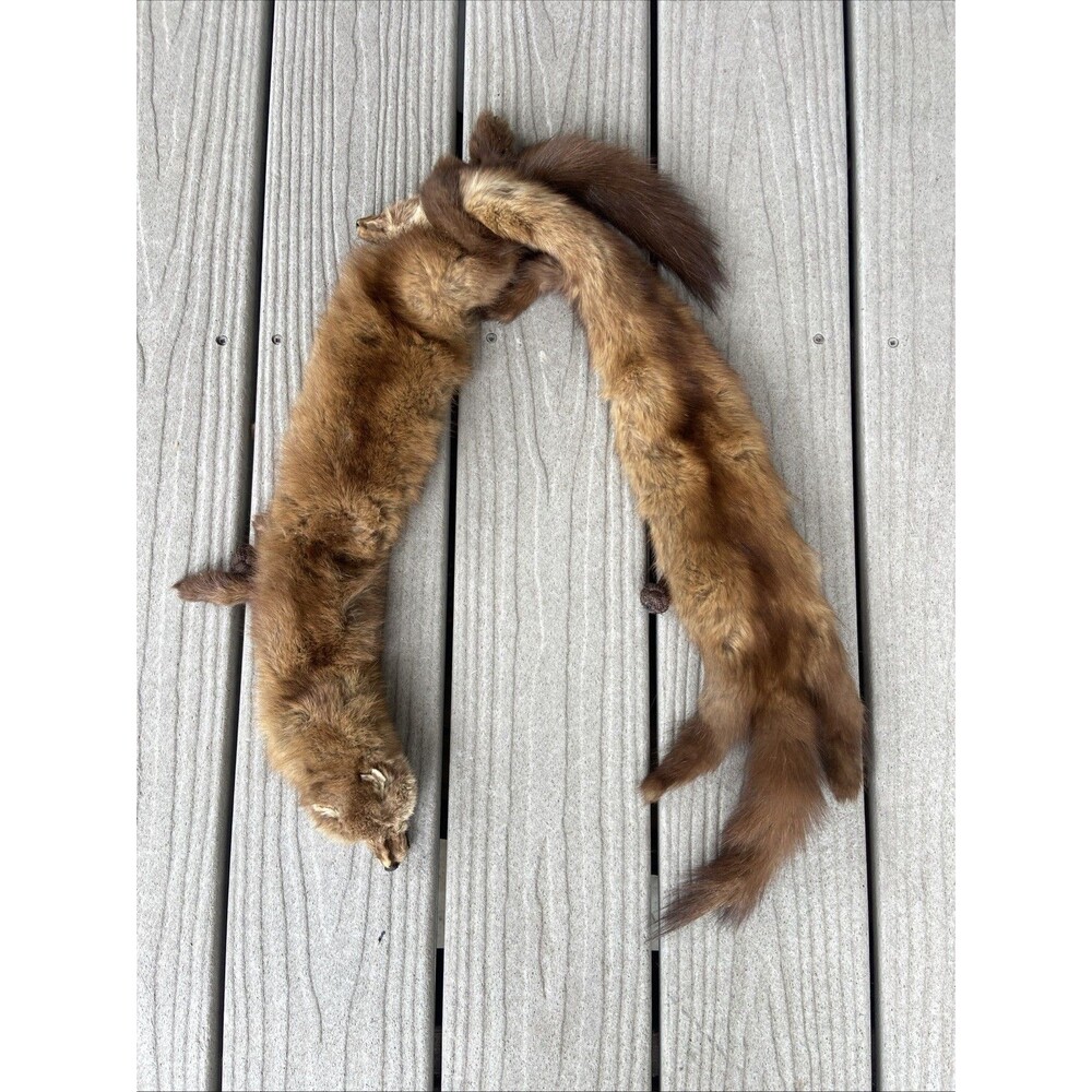 Vintage Genuine Mink Fur Stole Scarf 2 Full Pelts Heads Tails Brown 1940s 50s